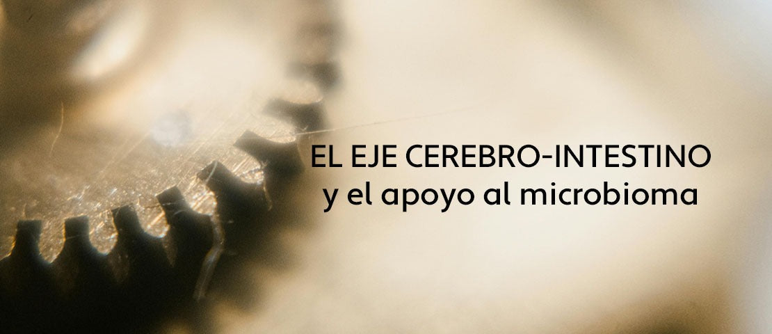Relación entre el eje intestino cerebro y la microbiota