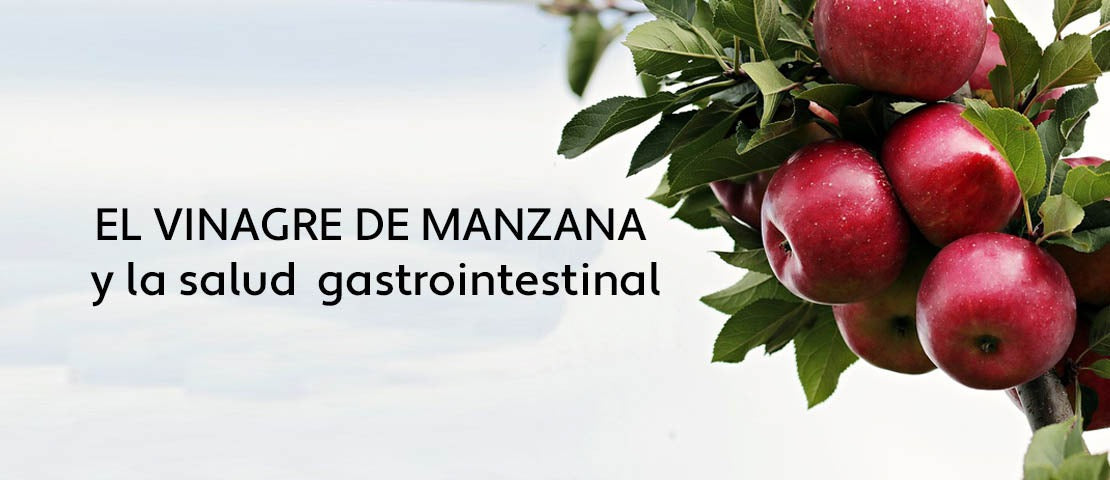 Beneficios del vinagre de manzana