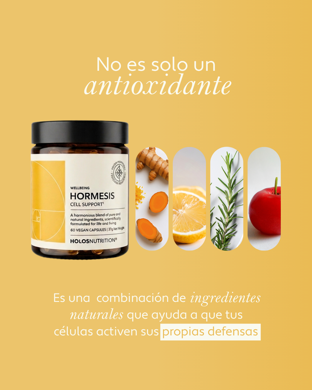 HORMESIS