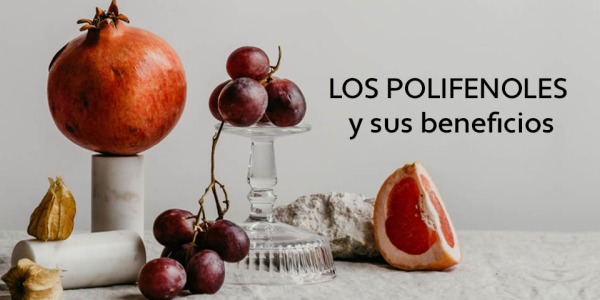 Los Polifenoles y sus beneficios: potentes antioxidantes para la salud