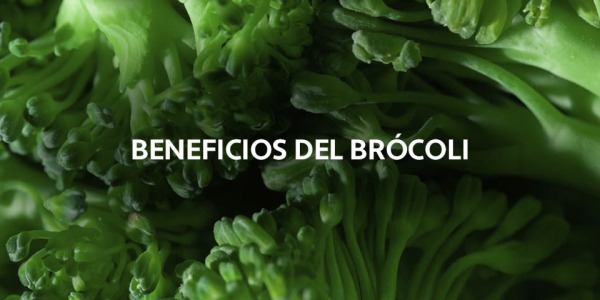 Brócoli: el superalimento verde que mejora tu salud
