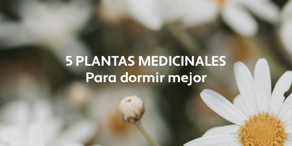 5 Plantas para dormir mejor