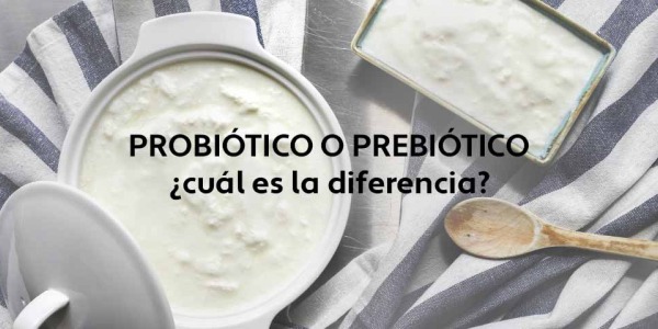 Probióticos vs prebióticos: qué son, diferencias y beneficios clave