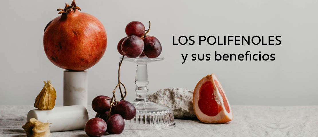 Los Polifenoles y sus beneficios: potentes antioxidantes para la salud