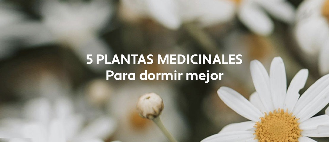 5 Plantas para dormir mejor